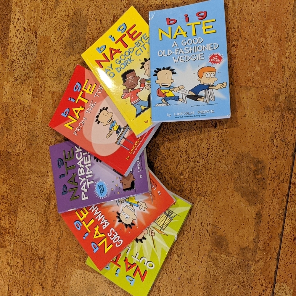 Big Nate book collection (6)